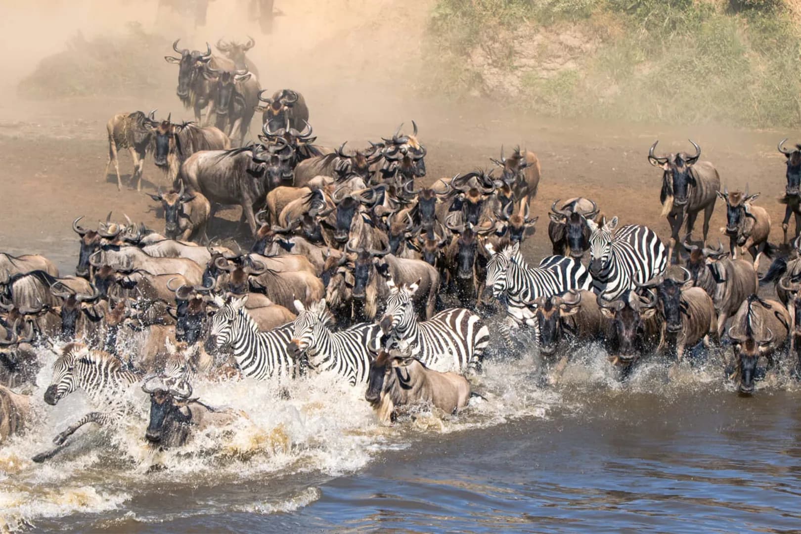 Serengeti Migration Safari — Serengeti, Tanzania safari experience